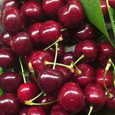 智利车厘子 双J大果的魅力与新鲜批发的市场机遇