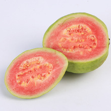 番石榴 营养与商机兼备的新鲜水果批发指南