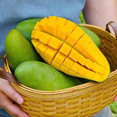 广西金煌芒 当季鲜甜，整箱批发，美味直达