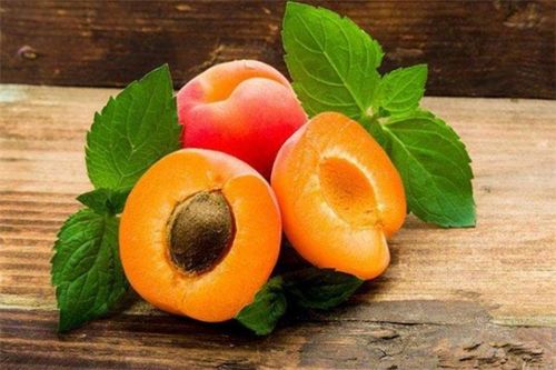 微行鲜果批发行 开启新鲜水果批发加盟的黄金赛道