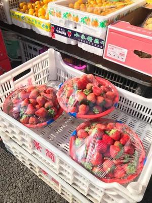 草莓车厘子甜蜜上市，新鲜水果批发价格观察