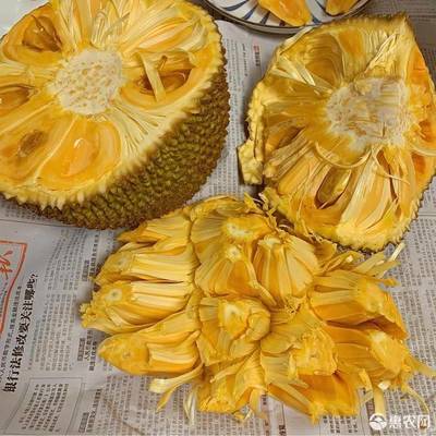 品味热带风情 越南红肉菠萝蜜的甜蜜盛宴