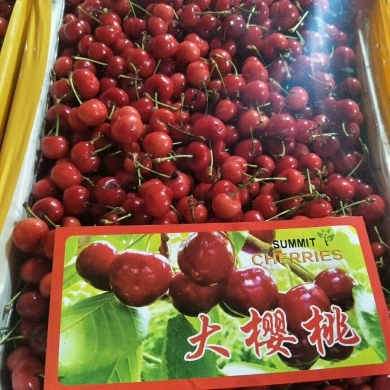 广东水果批发商 新鲜水果批发的优势与运营指南